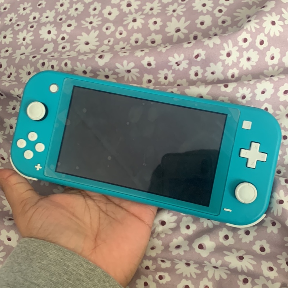 Nintendo switch, Nintendo case , two games
